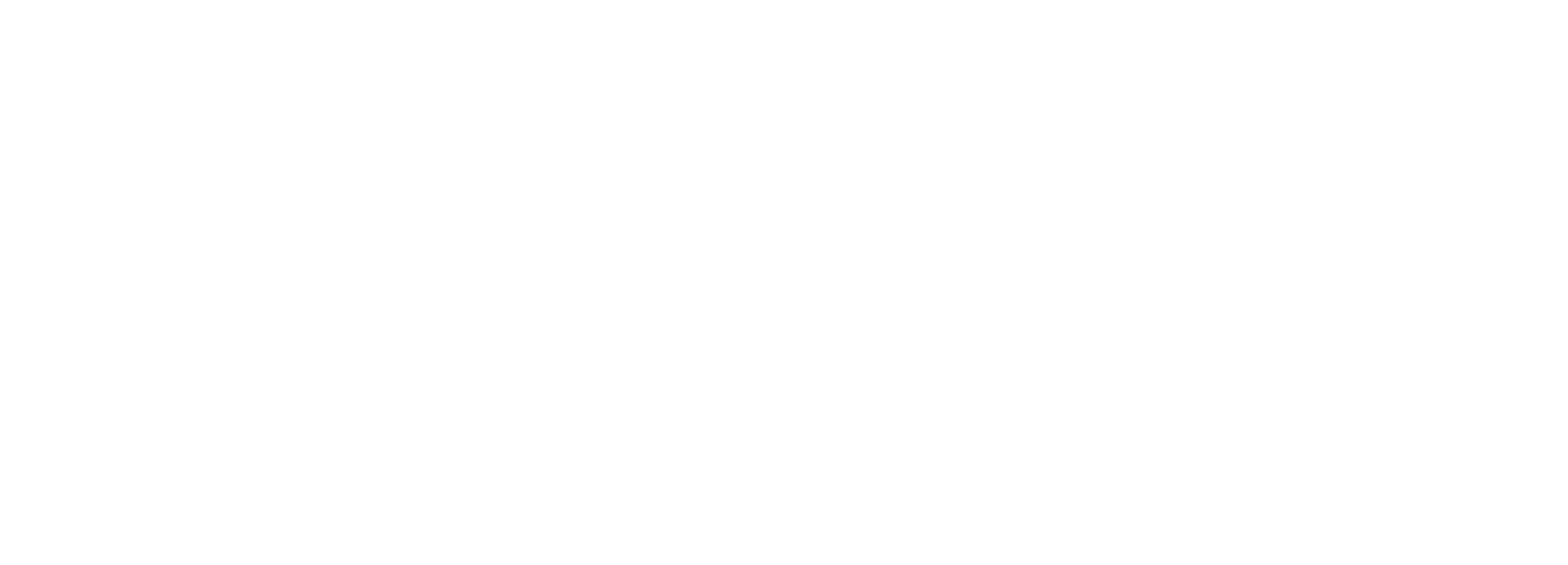 C7 Security Logo